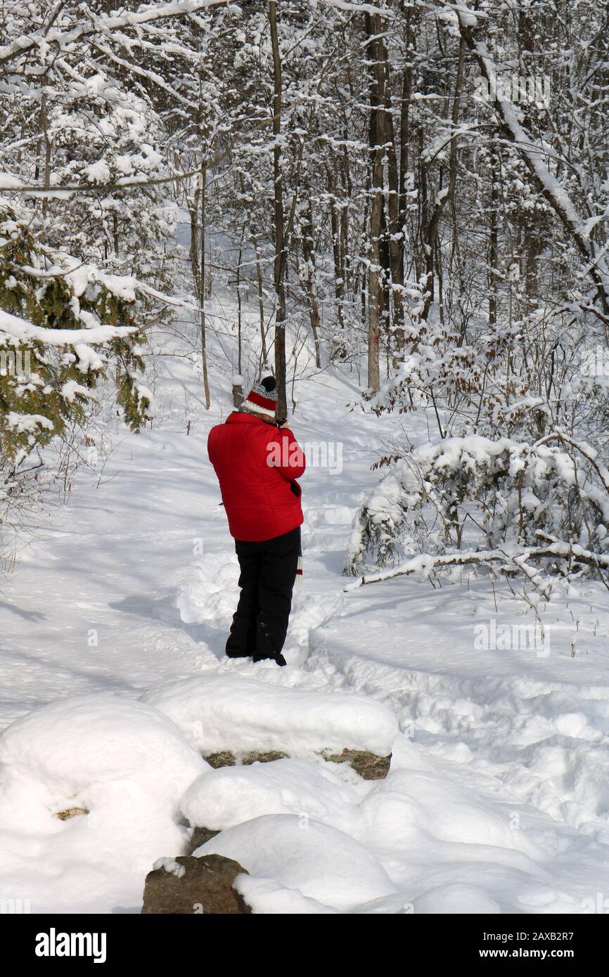 Heally Falls in winter Stock Photo