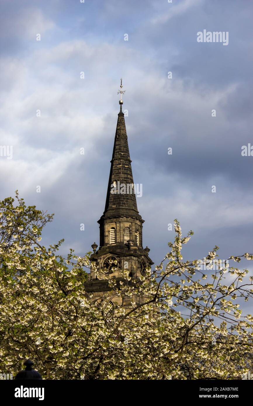 The Steeple of St Johns Church in Edinburg as seen from the Princess Street Gardens surrounded by white blossoms with a stormy cloudy background Stock Photo
