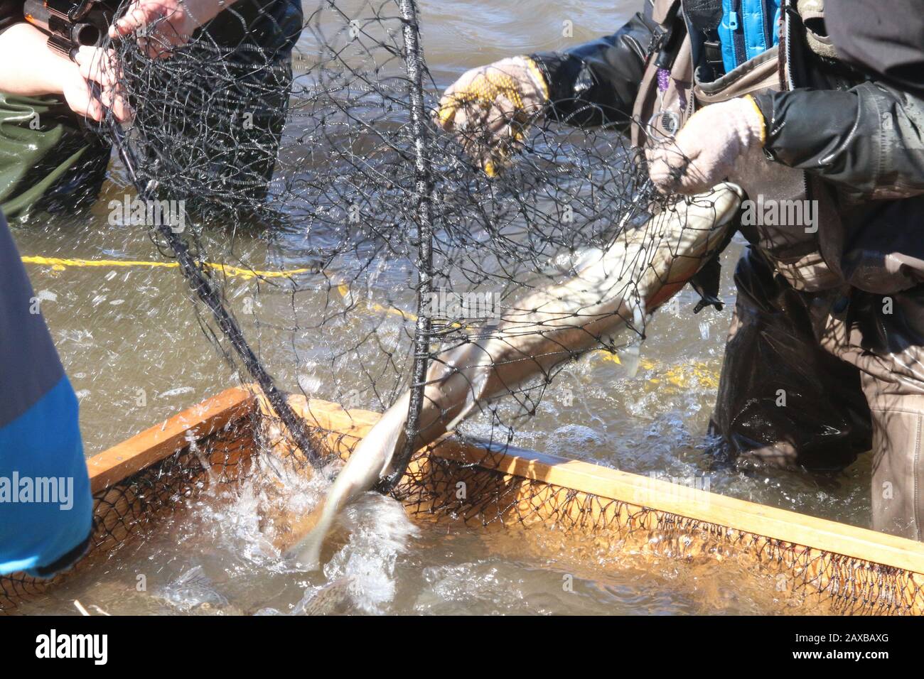 Hip waders hi-res stock photography and images - Page 2 - Alamy