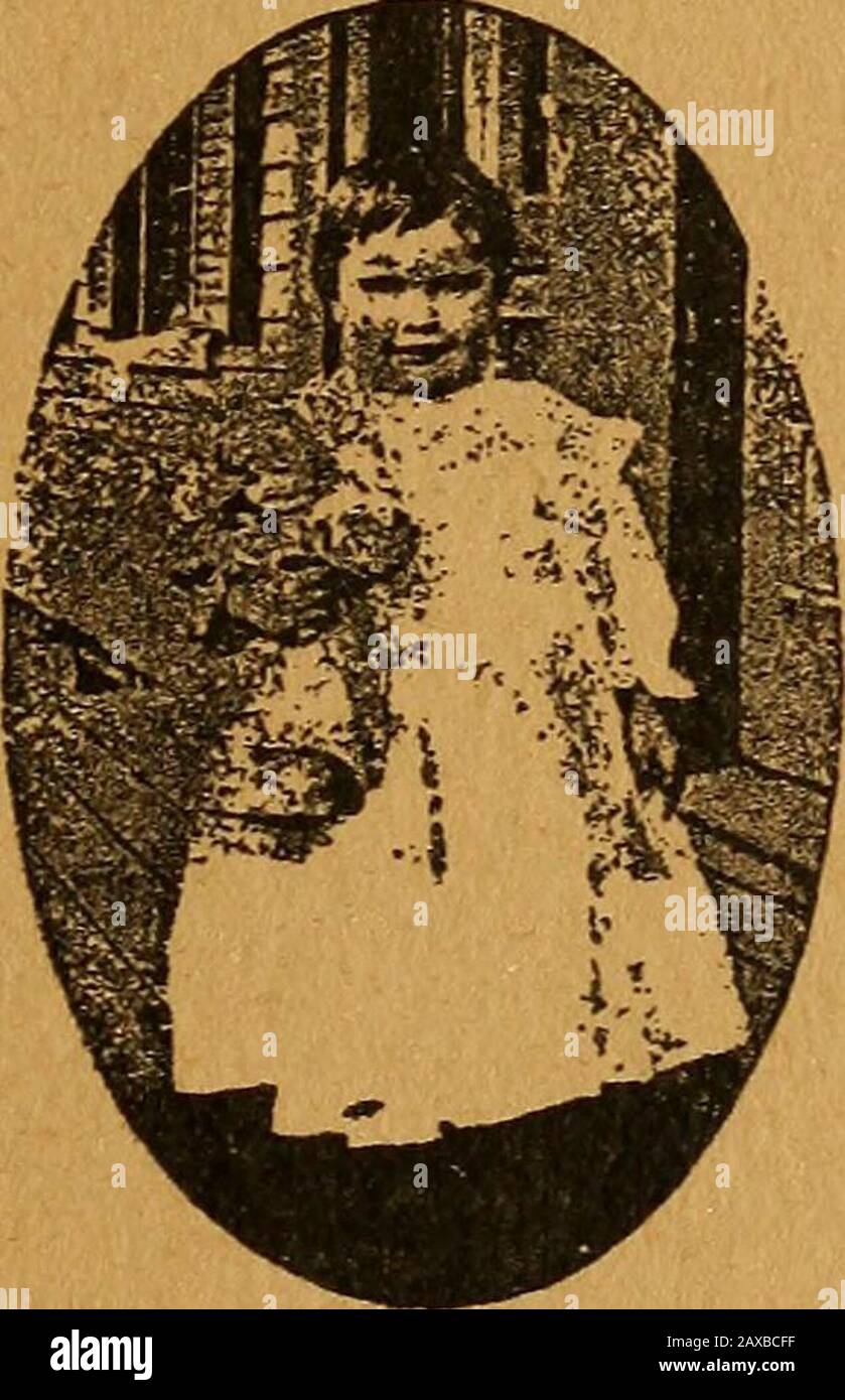 The grafters of America, who they are and how they work Stock Photo Alamy