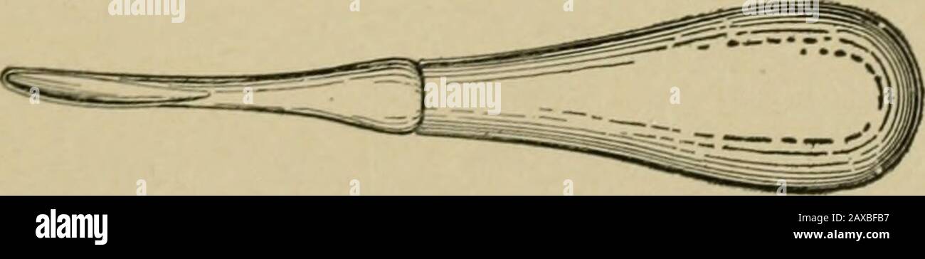 Applied Anatomy And Oral Surgery For Dental Students Fig 35 A Lower Molar Forceps B Universal