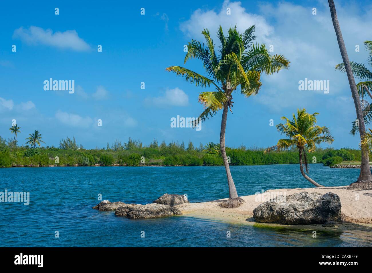 Palm trees and shadows on perfect sandy beach at calm waters edge Stock Photo