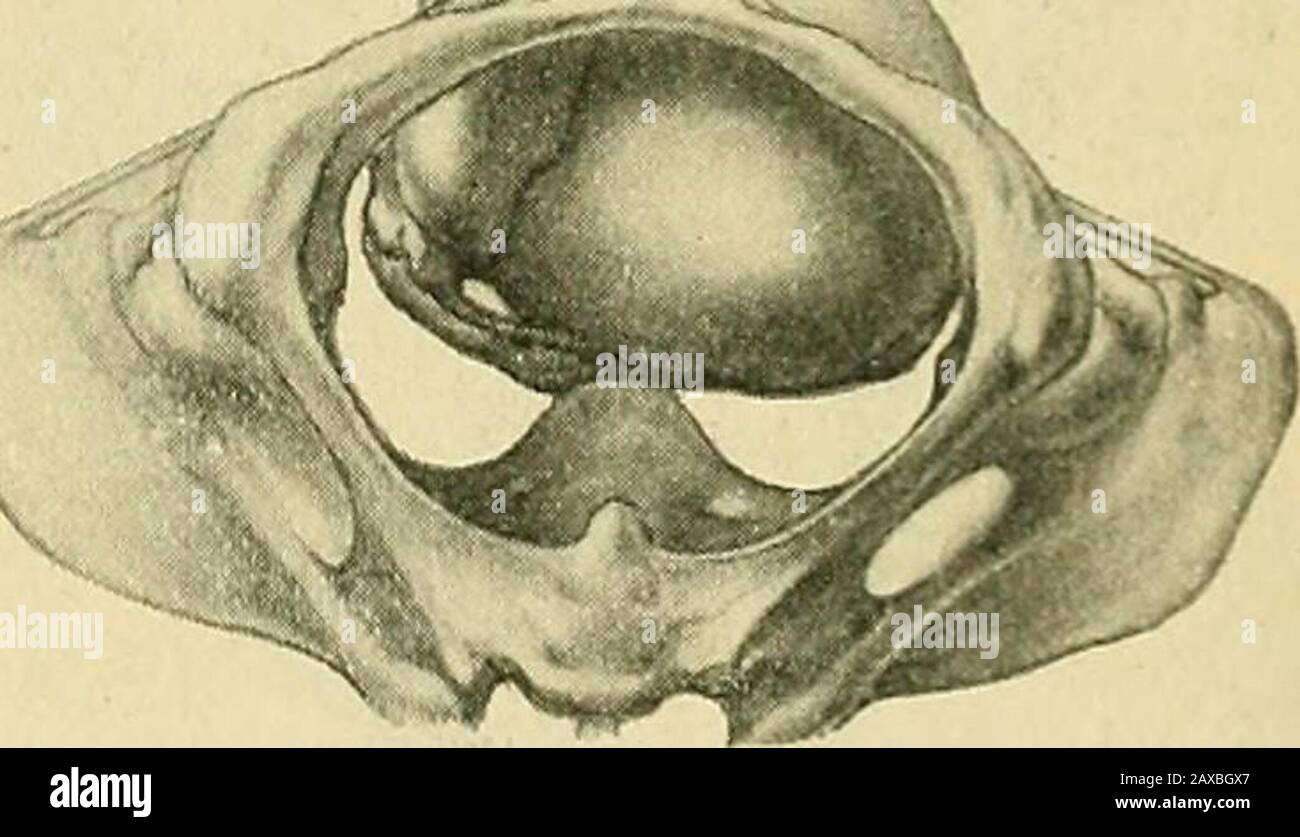 The practice of obstetrics, designed for the use of students and