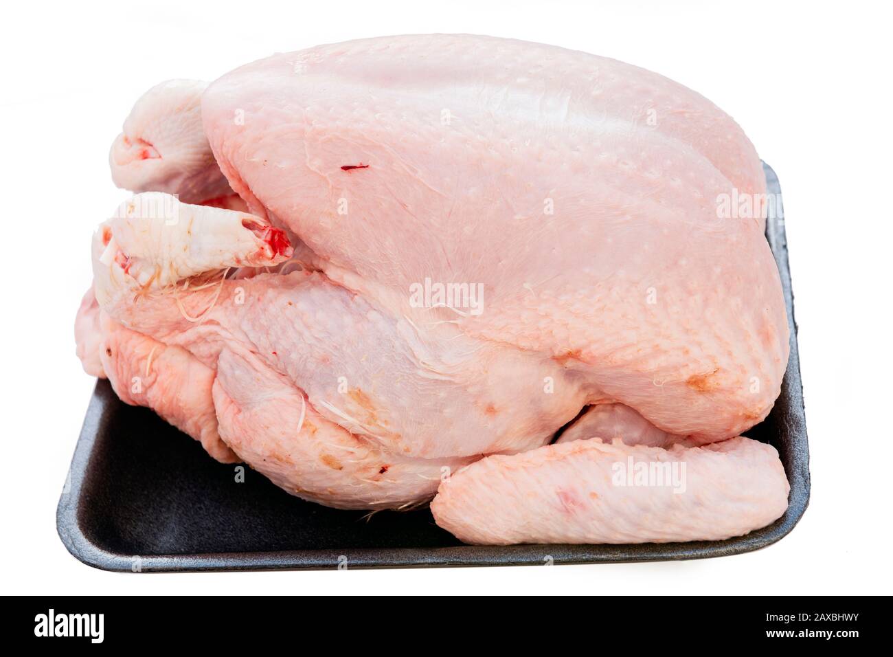 Uncooked whole chicken, UK. Oven ready chicken, cut out or isolated on a white background. Stock Photo