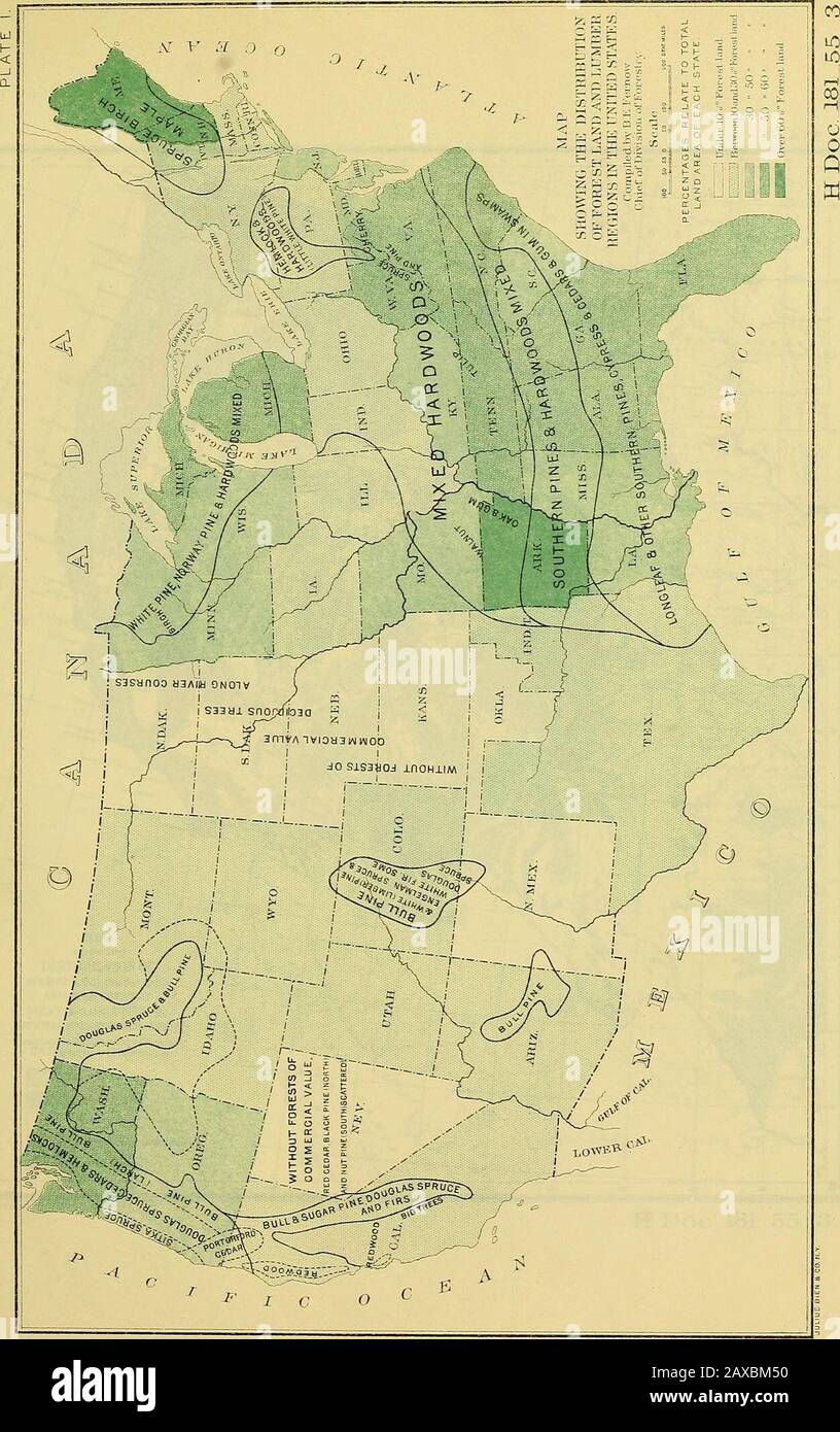 Report upon the forestry investigations of the U.SDepartment of agriculture1877-1898 . ottom lands; the more northern portions arecovered with hard woods almost exclusively, and intervening is a region of mixed hard-wood andconiferous growth. Spruces, firs, and hemlocks are found iu small quantities confined to themountain regions. The ISTorthern States are mainly occupied by hard-wood growths, with conifers intermixed,sometimes the latter becoming entirely dominant, as in the spruce forests of Maine, New Hamj^-shire, or the Adirondacks, and here and there in the pineries of Michigan, Wisconsi Stock Photo