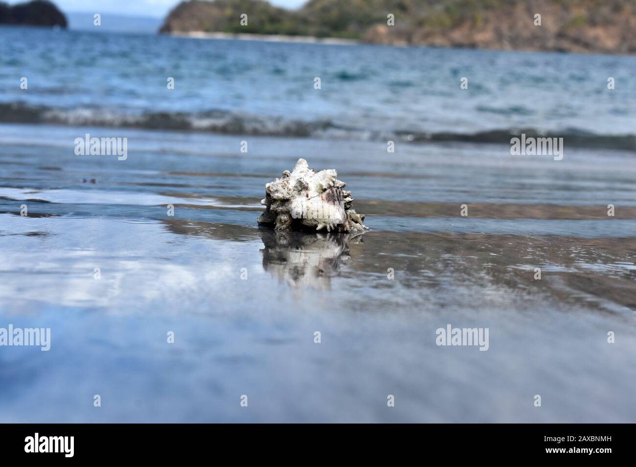 Ocean Pacifique Hi Res Stock Photography And Images Alamy