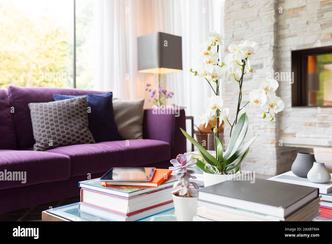 Books, succulents and orchid on living room coffee table Stock Photo