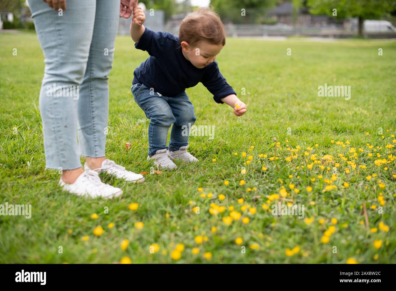 Cute innocent toddler girl picking flowers in park grass Stock Photo