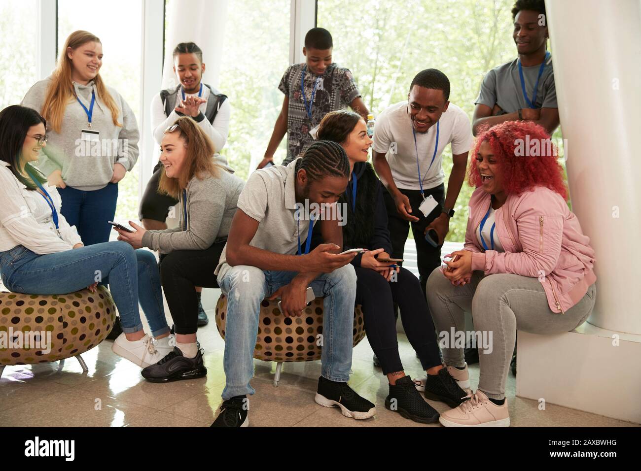 High school students hanging out and using smart phones Stock Photo
