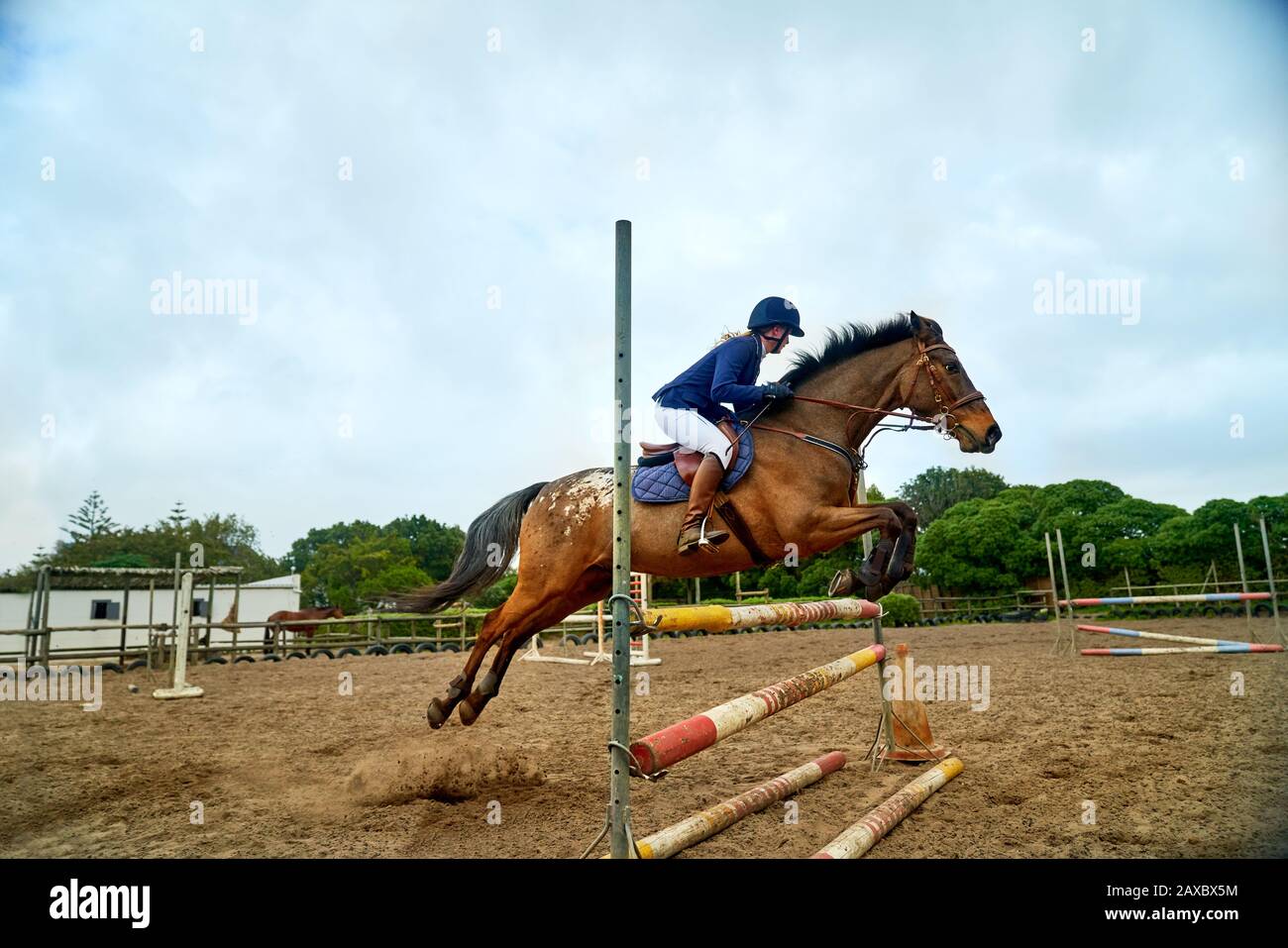 Teenage girl practicing equestrian jumping in paddock Stock Photo