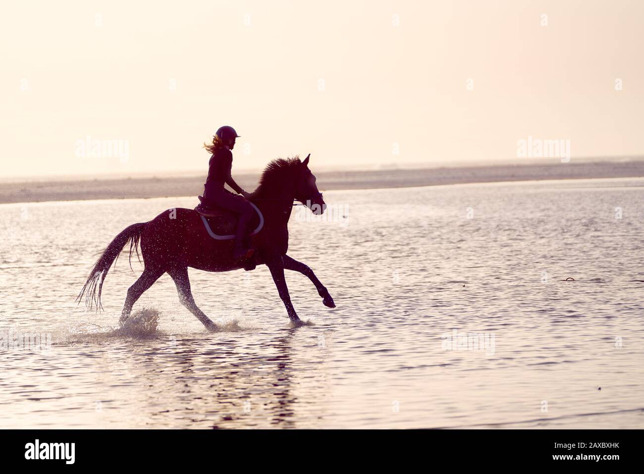 Young woman galloping on horseback in ocean surf Stock Photo