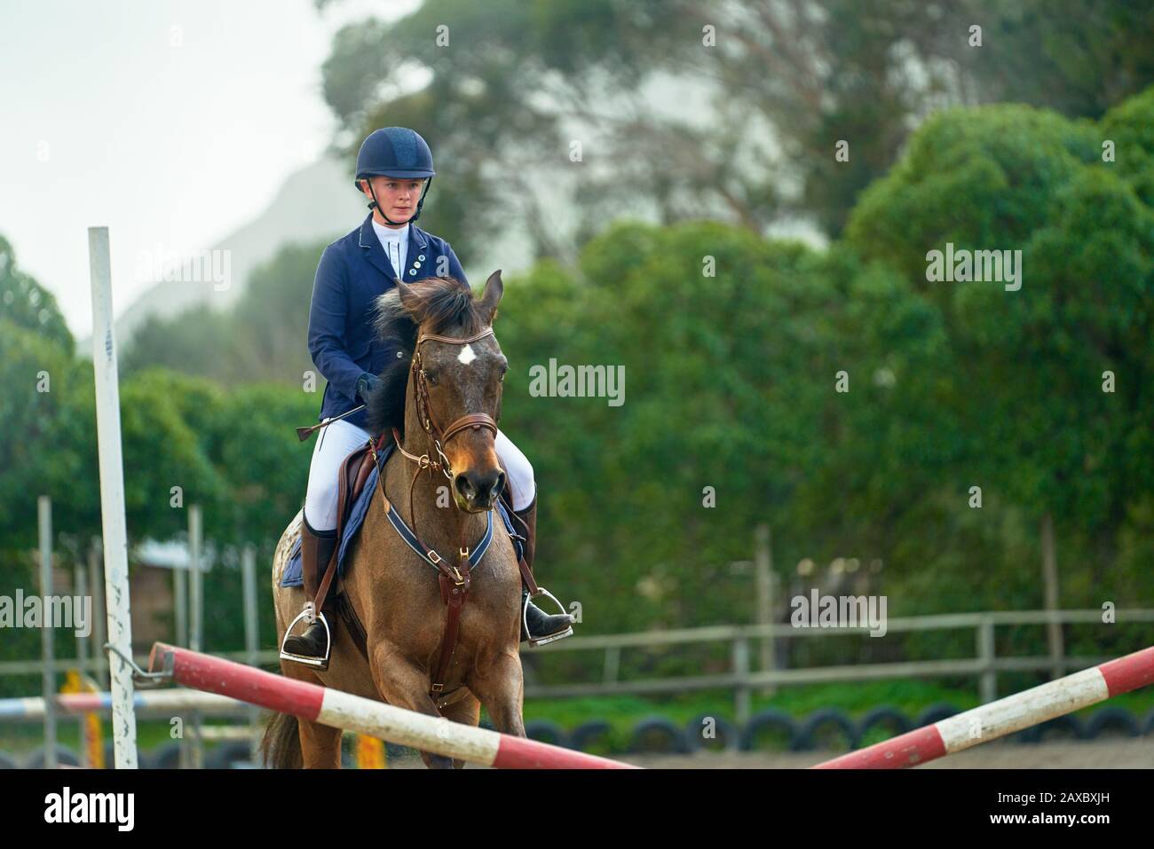 Teenage girl equestrian jumping Stock Photo