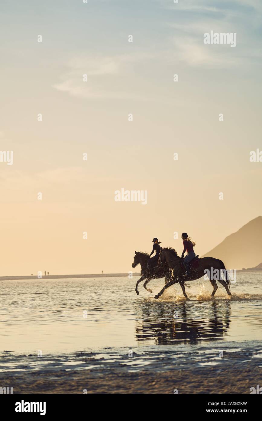 Young women horseback riding in ocean surf Stock Photo - Alamy