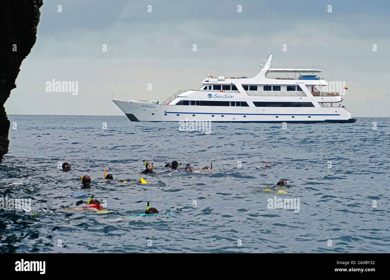 Snorklers in the Galapagos Islands from the 16 pax yacht Sea Star Journey. Stock Photo