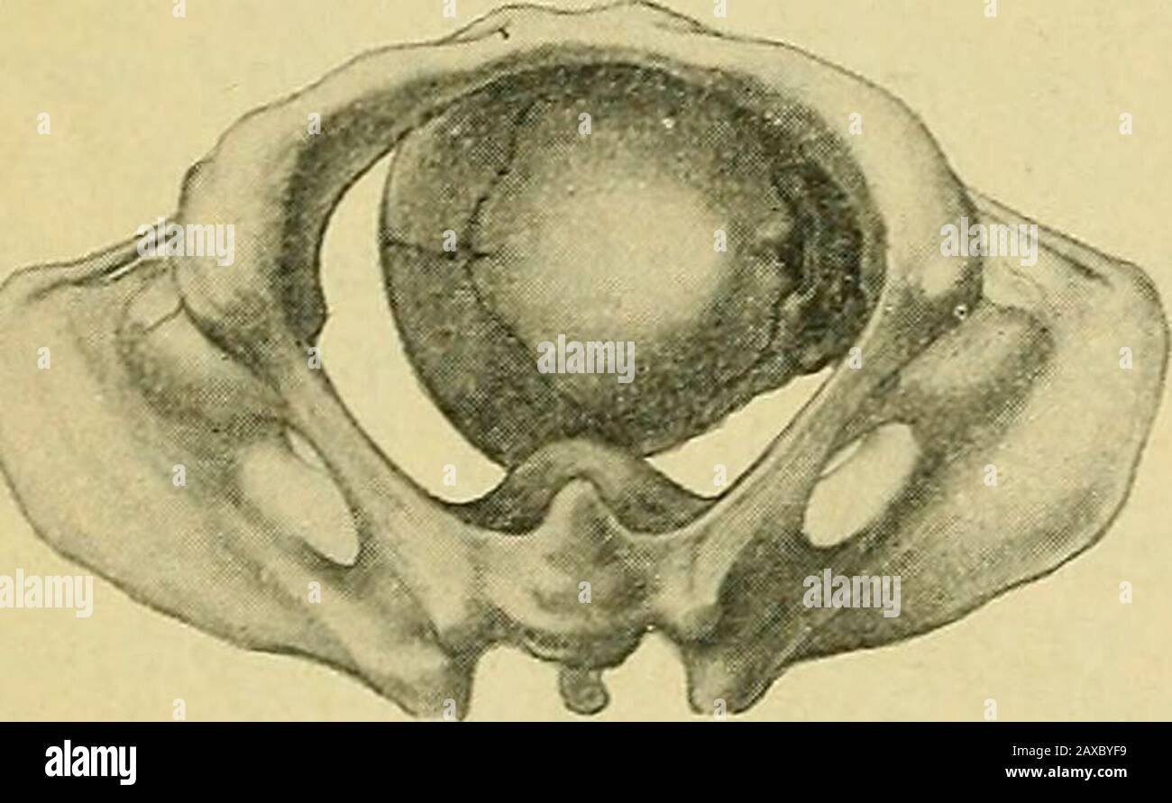 Practitioners believe hires stock photography and images Alamy