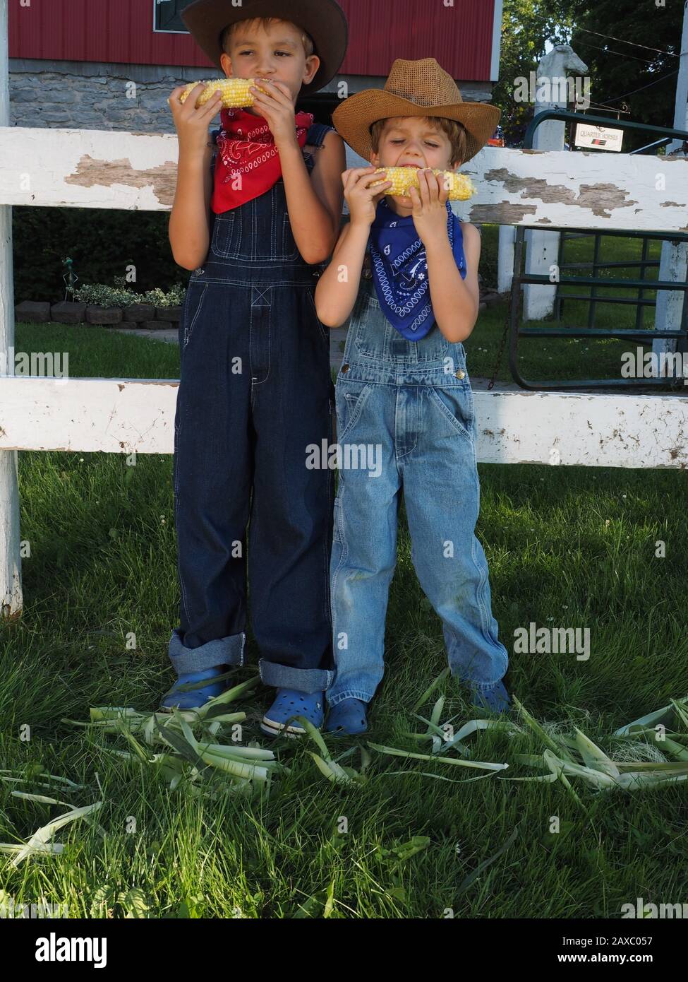 Vertical shot of two little boys in overalls eating corn while standing in front of a fence Stock Photo