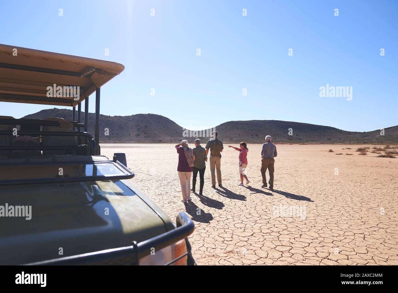 Safari tour group looking at sunny arid landscape view South Africa Stock Photo