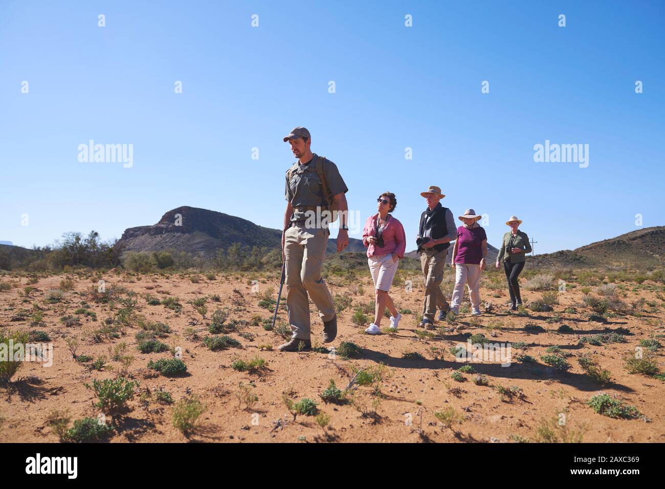 Safari tour guide leading group in sunny grassland South Africa Stock Photo