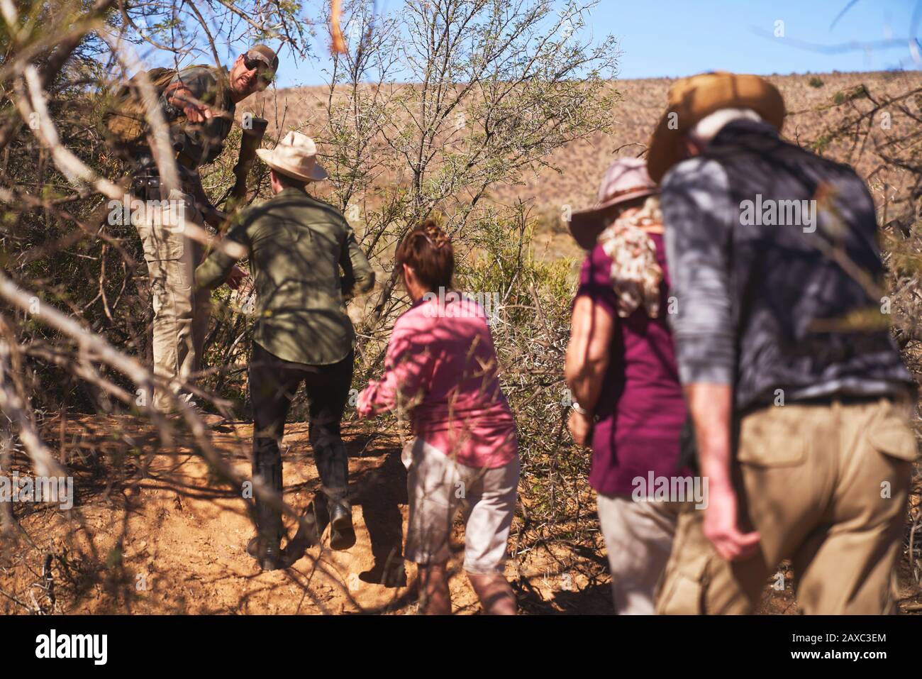 Safari tour group walking through trees Stock Photo