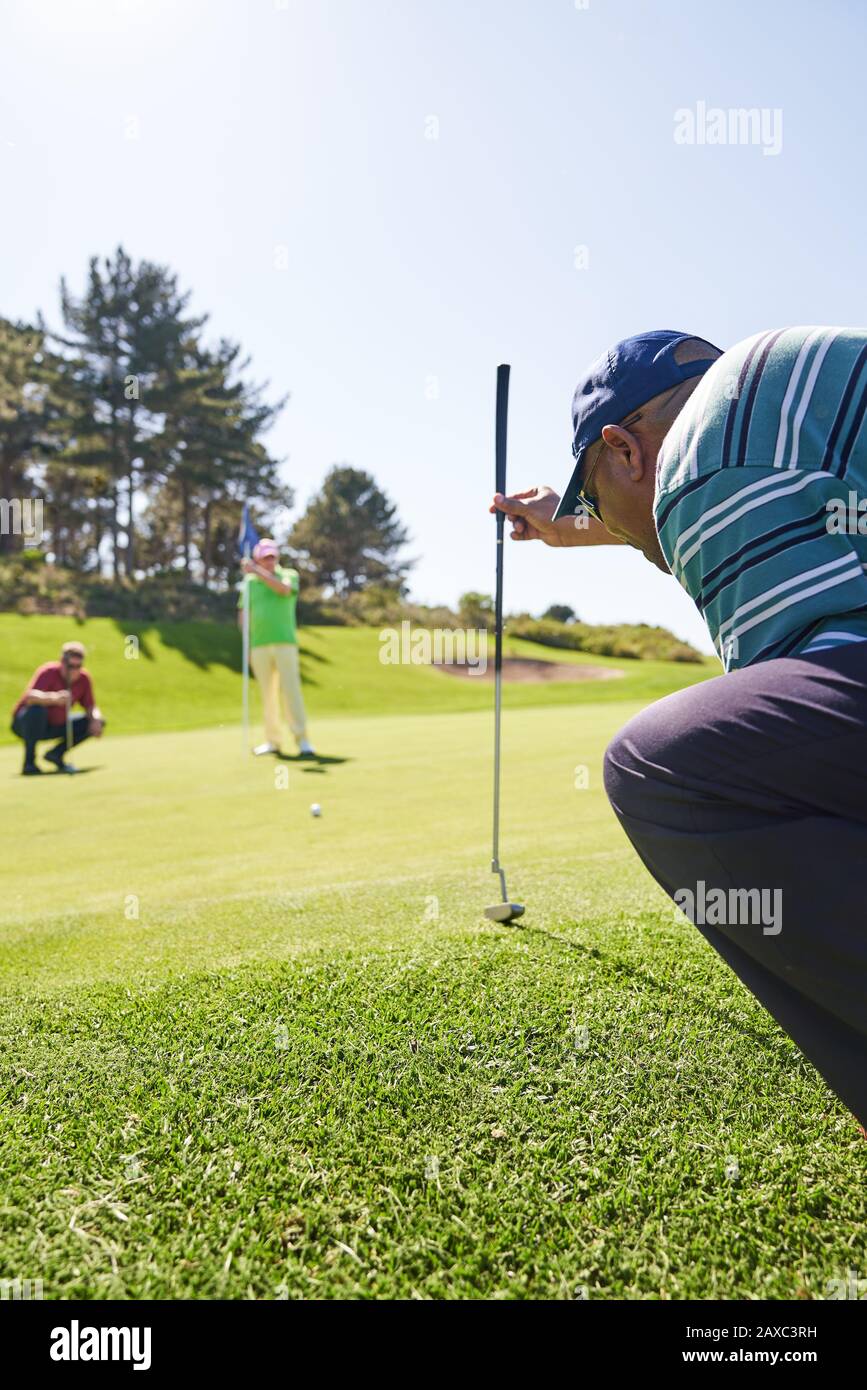Male golfer preparing to take shot on sunny putting green Stock Photo