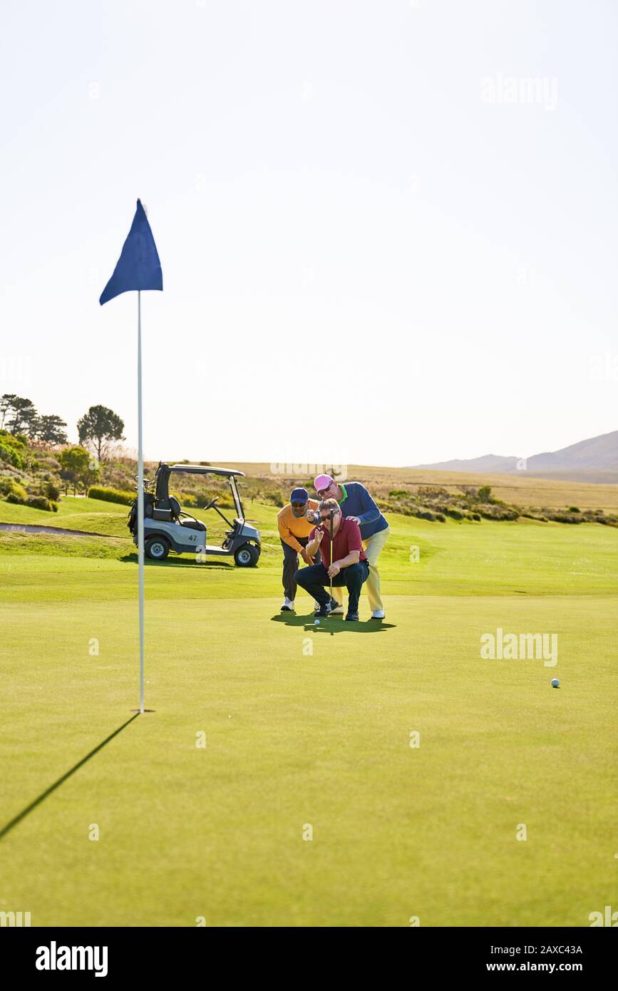 Male golfers planning putt shot on sunny golf course putting green Stock Photo
