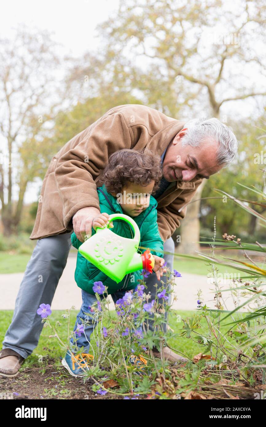Grandfather and granddaughter watering flowers with watering can Stock Photo