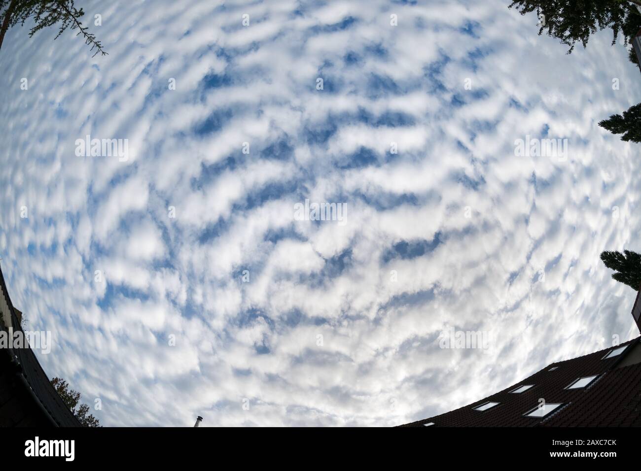 Stunning fisheye view of altocumulus clouds over an urban garden Stock Photo