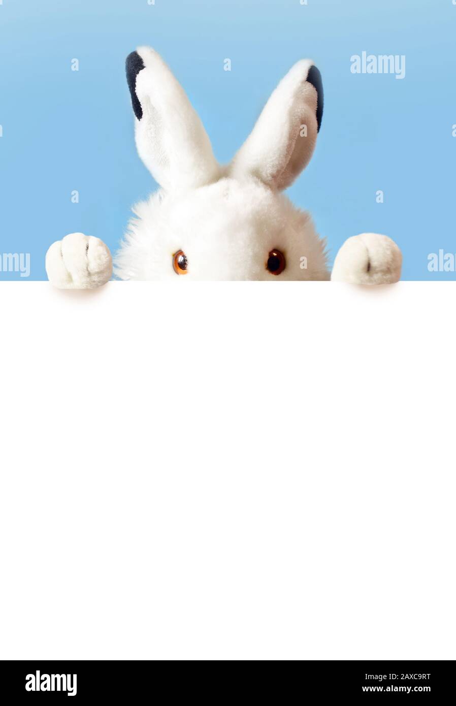 White easter rabbit with sheet for a text writing. Easter concept. Easter bunny Stock Photo