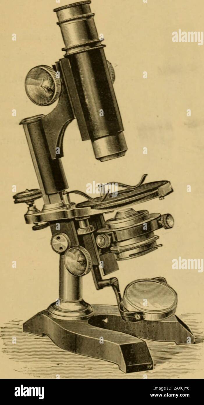 Catalogue of surgeons instruments and medical appliancesElectro-therapeutic apparatusSundries for the surgery and sick-room, medicine chests, etc . - 1 P? 11 ^L «*^ „ u? ... Fig. Fig. Support for Trays—Adjustable to any heigt t. with adjustable Clamps for any size dish (Fig. 862). .Price £2 5 0 net. Instrument Table—Iron frame, iron drawer, plate-glass top, and sheet-iron shelves ; size of glass top £ in. X 14 in., height 33m. [Fig. 863). Priee £1 12 6 net. Instrument Cupboard, Small size—of iron. with glass Bides and shelves, measurements as follow- :32 in. high X 20 in. wide x 10 in. deep, Stock Photo