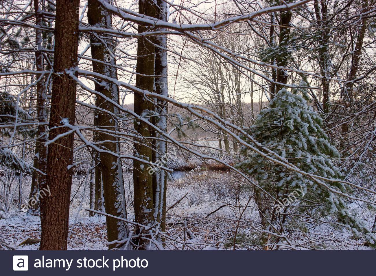 Get Download April Snow Pictures