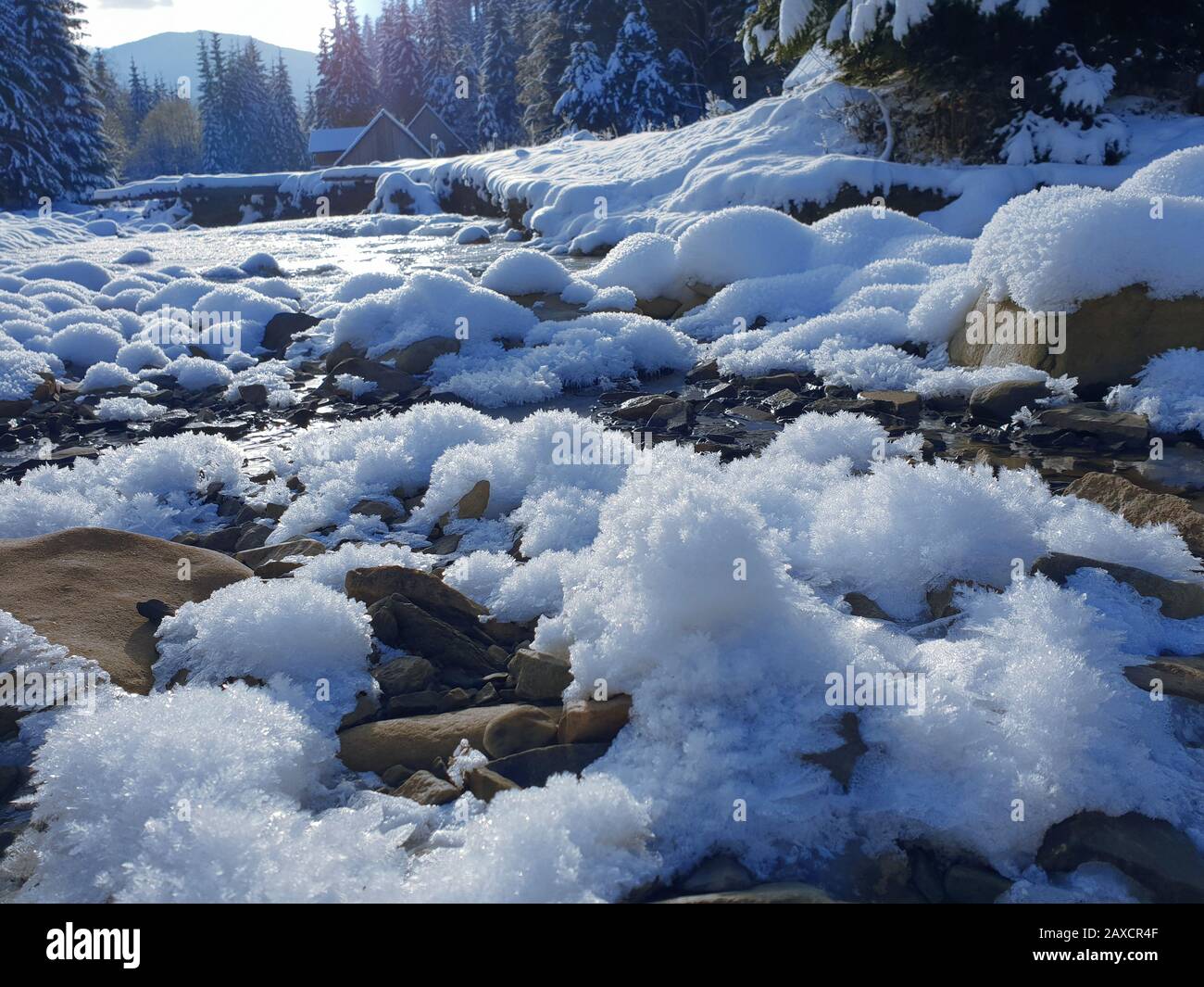 Beautiful winter landscape. Frozen river and green firs covered with ...