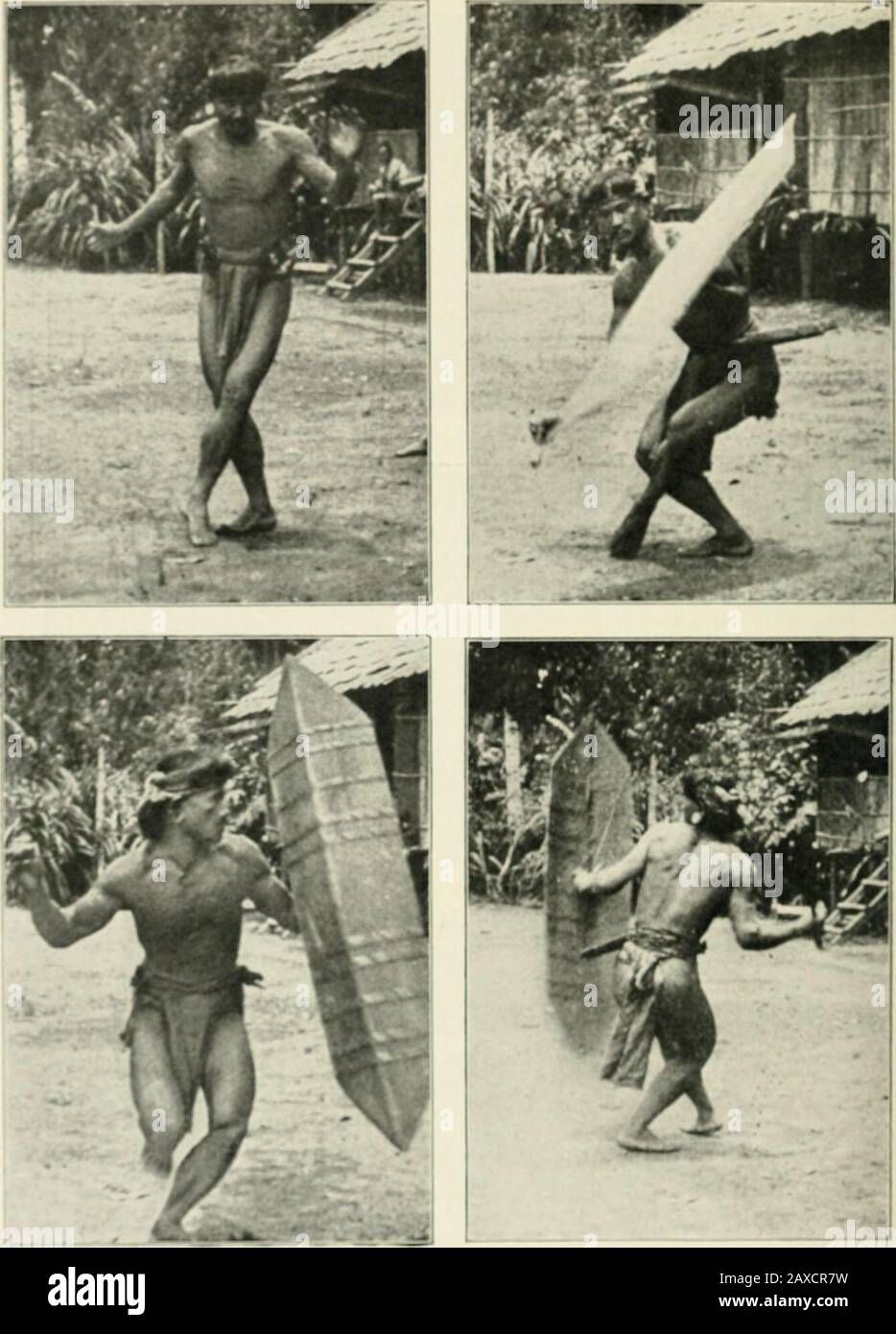 Through Central Borneo; an account of two years' travel in the land of the head-hunters between the years 1913 and 1917 . THE PENYAIinOSO WAR DANCE. TAMAIXJE Thu (lancr id pracliMtl liy many Payak lril»c» Fr({ra|&gt;h film THE PENYAHBONGS 183 Dayak tribes also possess such feminine accessories.With the Penyahbongs the male chiefly hunts, the femaledoing all the work. She makes the house, cuts the sagopalm, and prepares the sago. When setting forth to bringhome the animal killed by her husband she carries herown parang with which to cut it up, placing it inside therattan bag on her back. With o Stock Photo