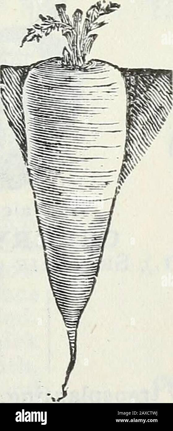 Manual catalogue hires stock photography and images Alamy