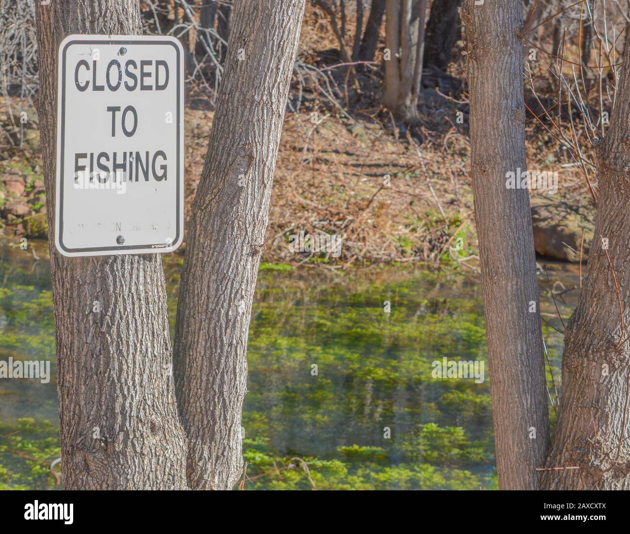 17+ Tonto Creek Fish Hatchery