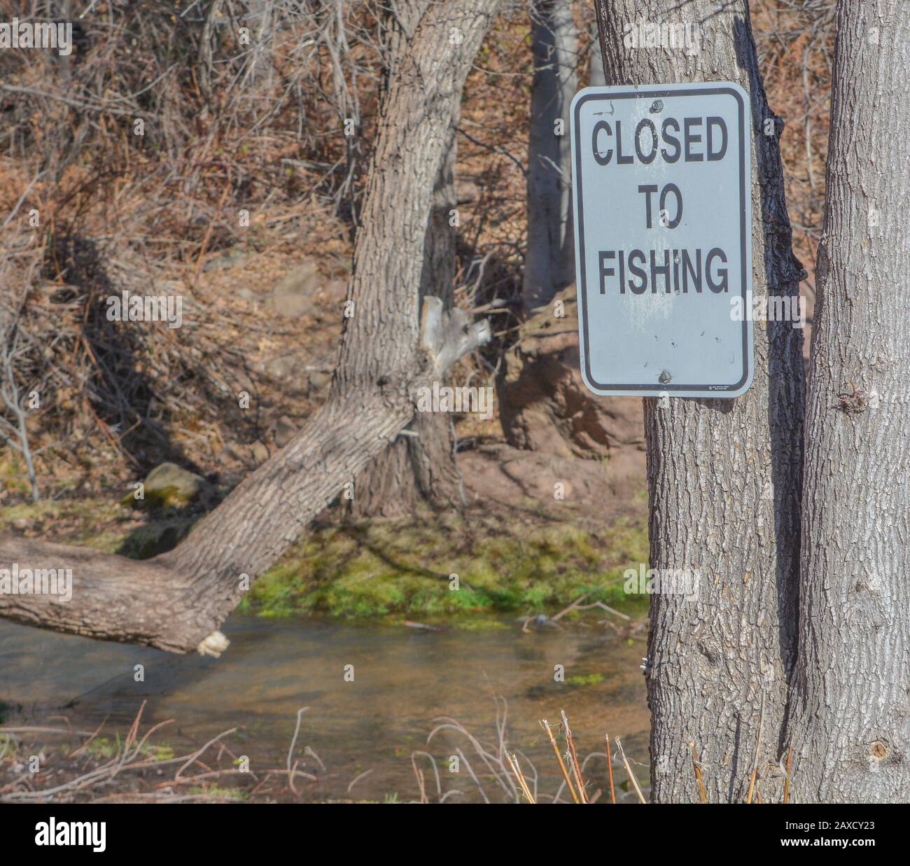 Tonto creek fish hatchery hires stock photography and images Alamy
