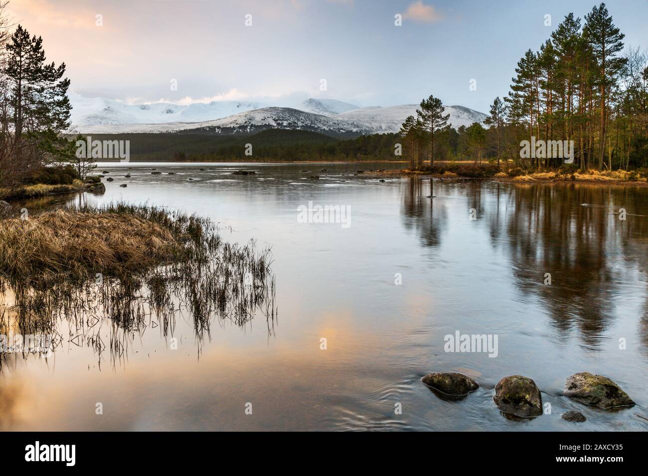 Beautiful early morning light over Loch Morlich, with snow topped mountains in the distance, Scotland, United Kingdom, Europe Stock Photo
