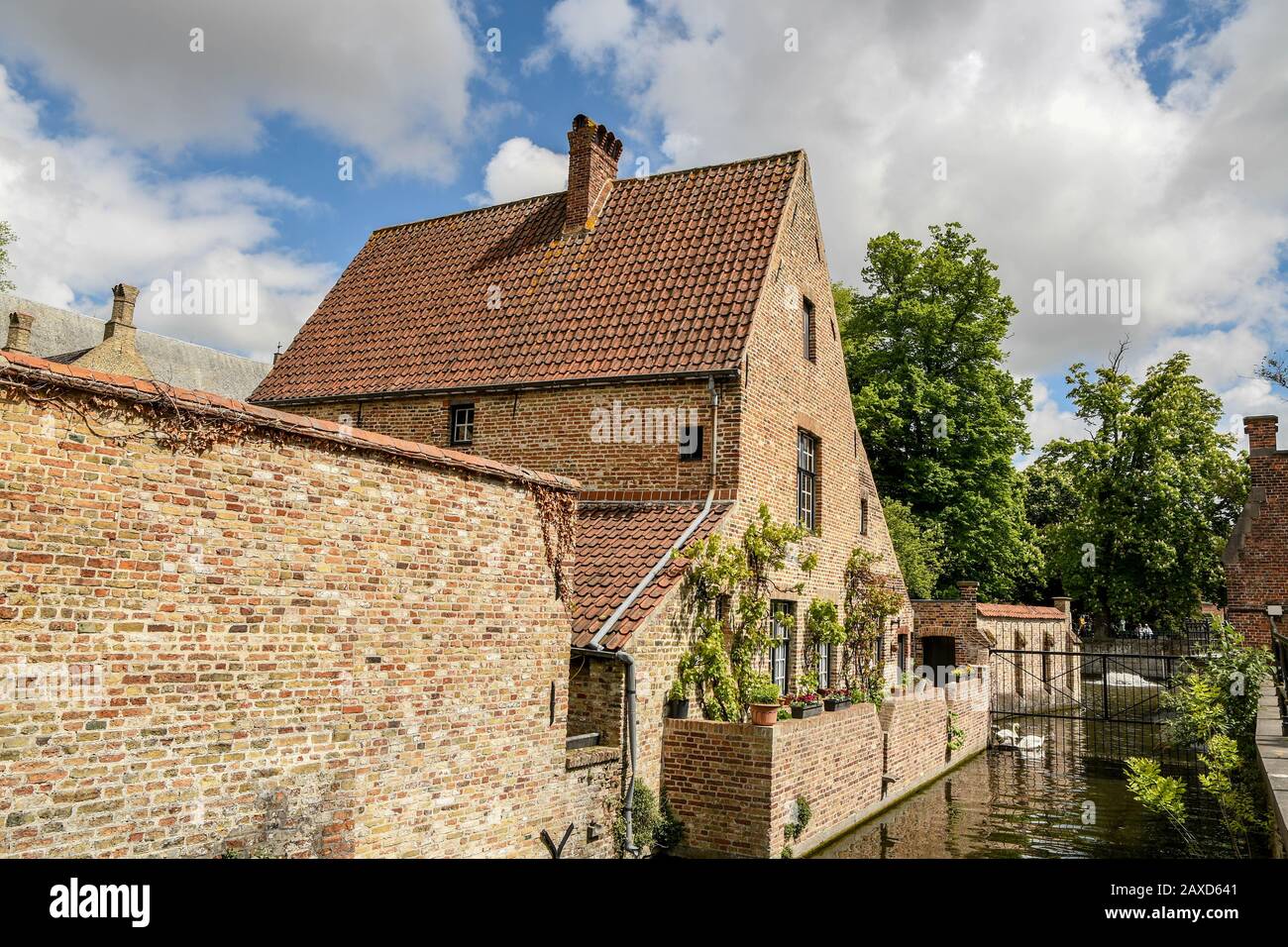 Beautiful houses and water canals with swimming swans in the lovely, peaceful, romantic and timeless city of Brugge to explore in a bicycle or stroll. Stock Photo