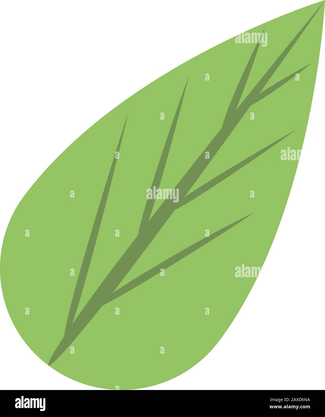 ecology leaf plant isolated icon Stock Vector Image & Art - Alamy