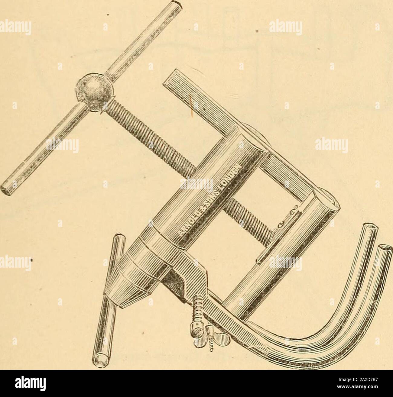 Greater trochanter hi-res stock photography and images - Alamy