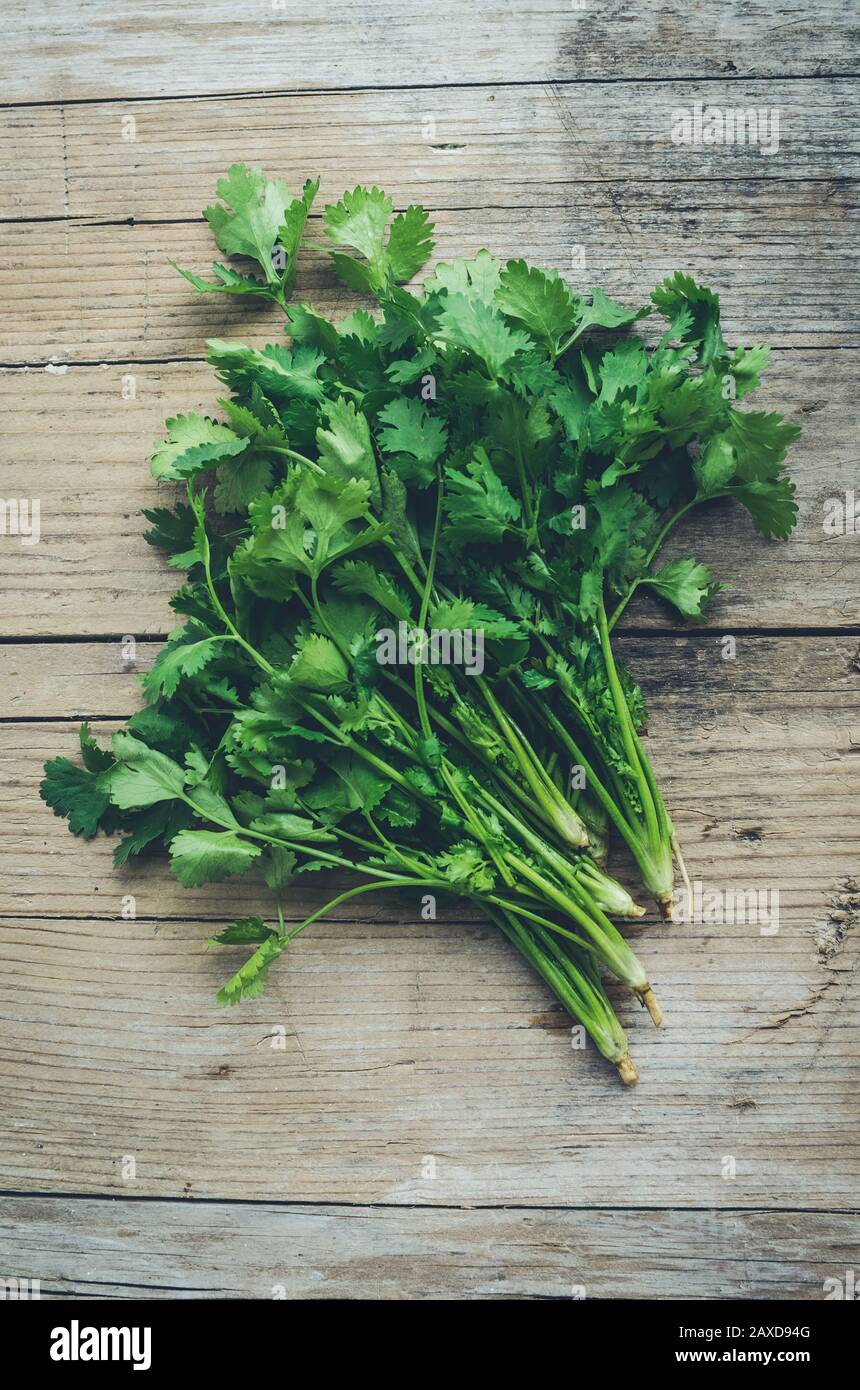 Coriander Leaves and Herb Chopper on a Wooden Board on a White Marbled Work  Top Stock Image - Image of handed, herb: 172190475
