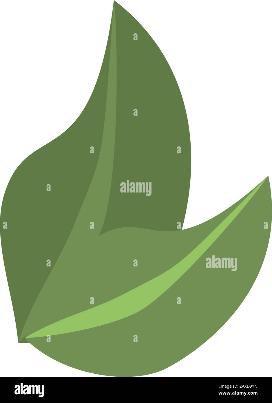 ecology leafs plant isolated icon Stock Vector Image & Art - Alamy