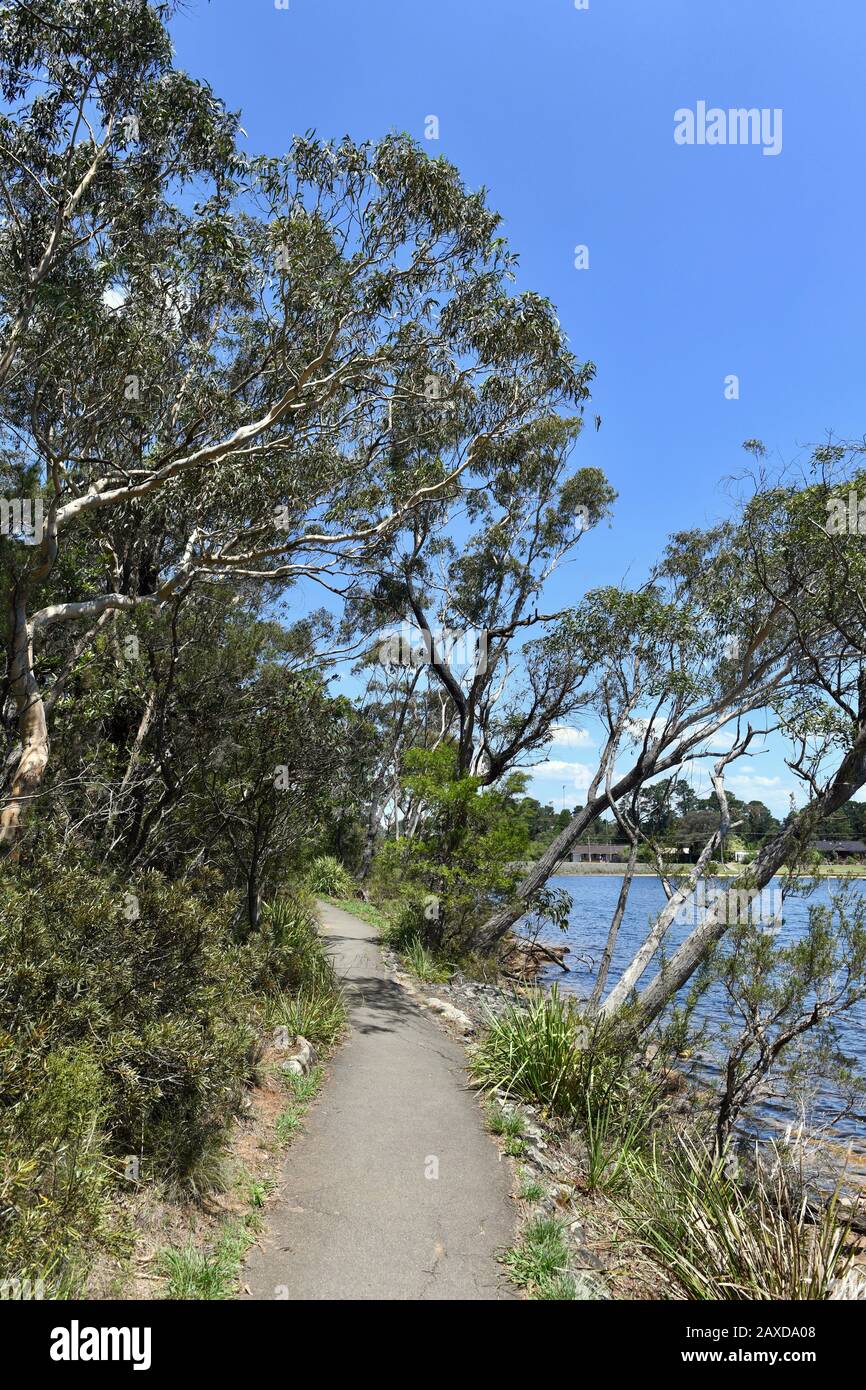Walking path around a lake hi-res stock photography and images - Alamy