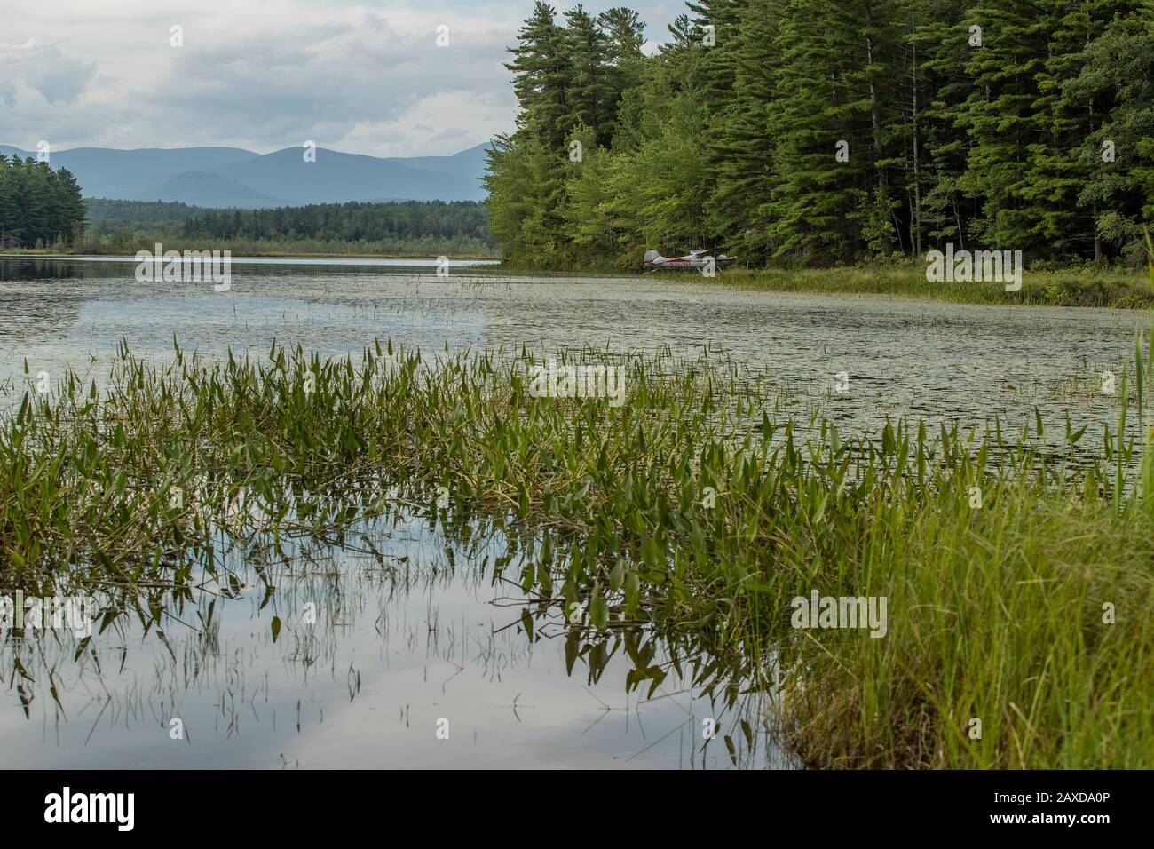 Classic scenic view of MT Whiteface from Moultonborough NH in NH's