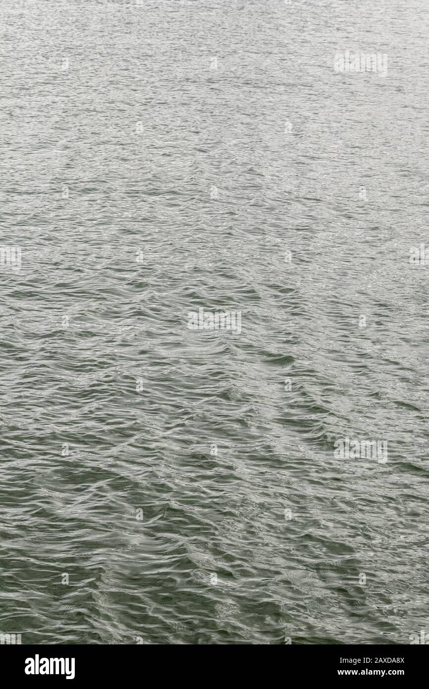 Calm green water background. Water ripples texture. Stock Photo