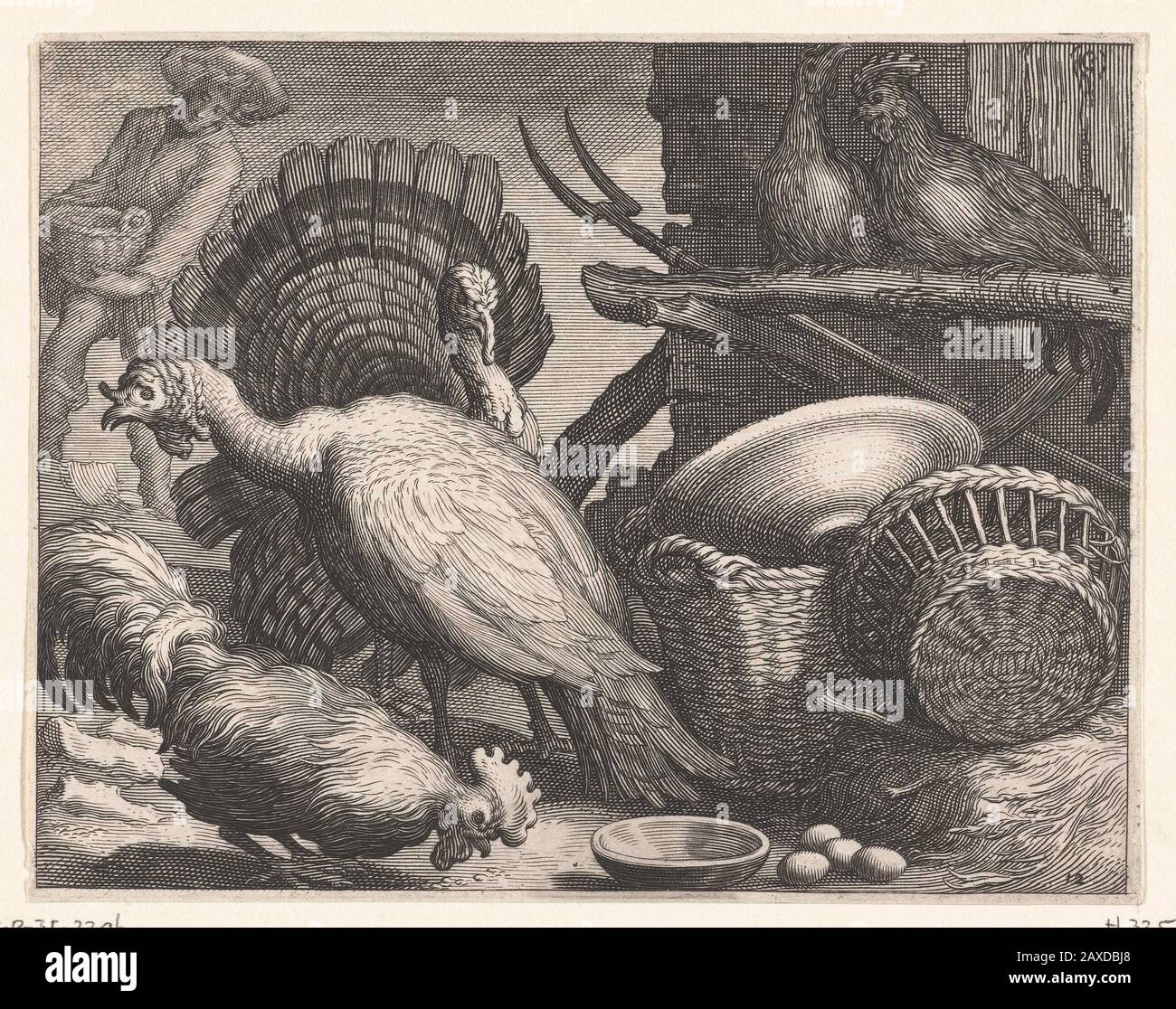 'Kippen en kalkoenen; Iconclasscode 34B232; Iconclasscode: 25F38(TURKEY); print; 1611; 1611; ' Stock Photo