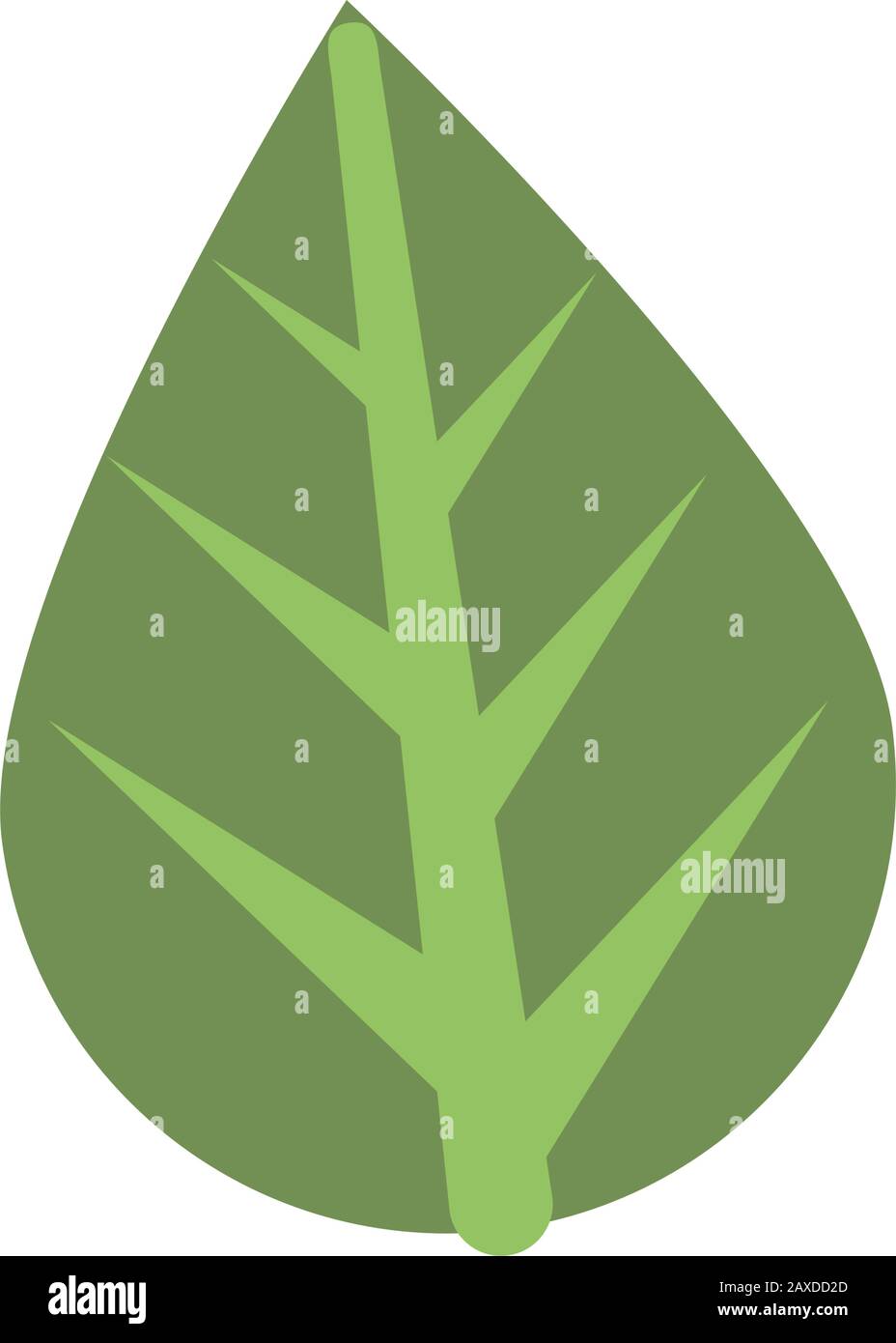 ecology leaf plant isolated icon Stock Vector Image & Art - Alamy