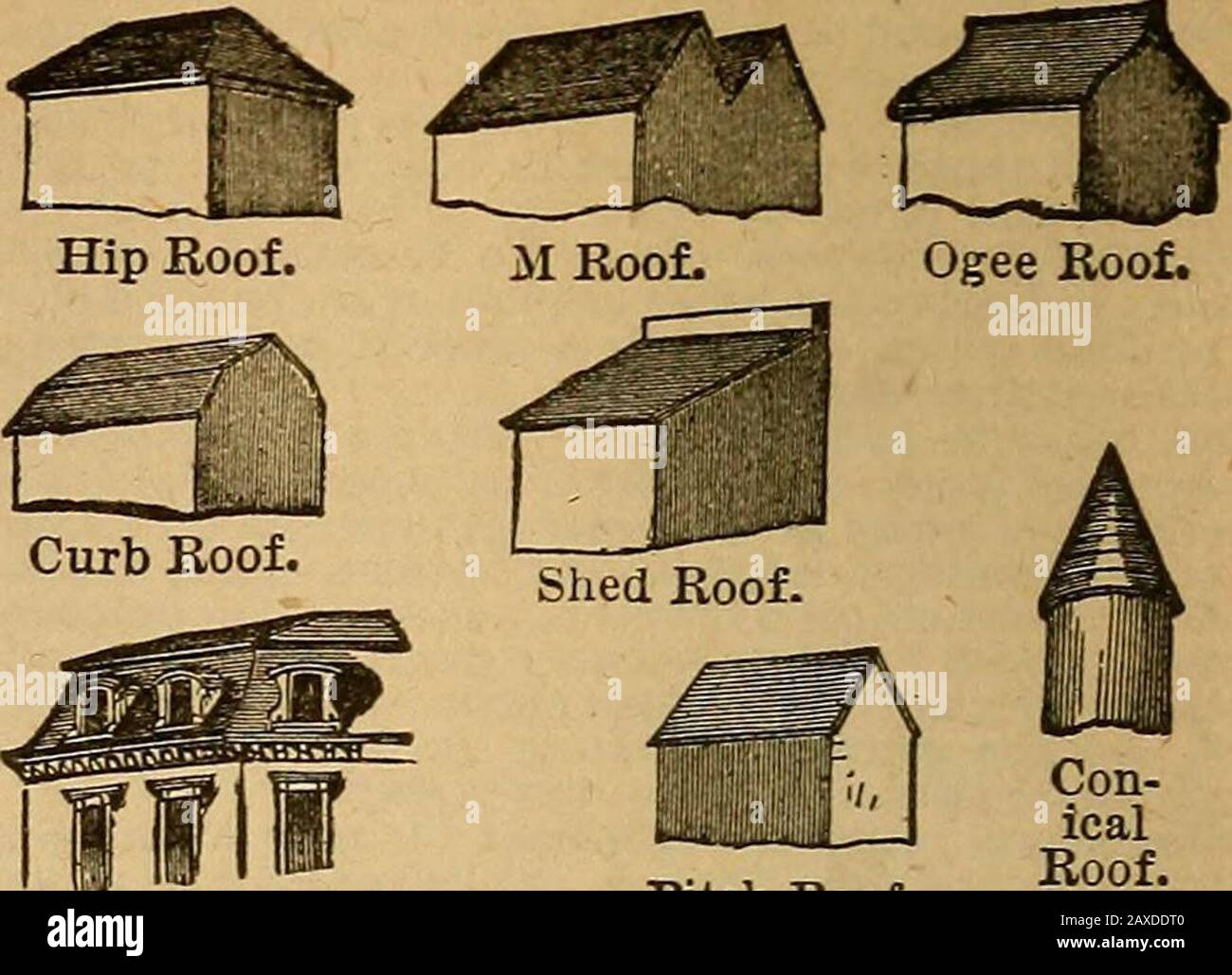 ster's practical dictionary; a practical dictionary of the English