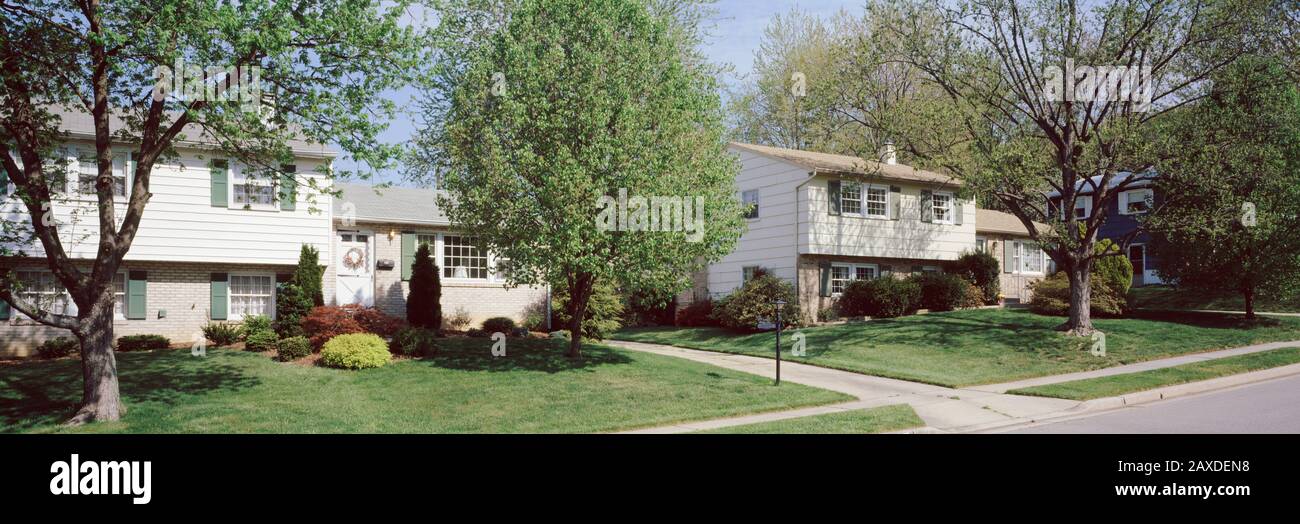 Trees in front of houses, SplitLevel Suburban Homes, Baltimore