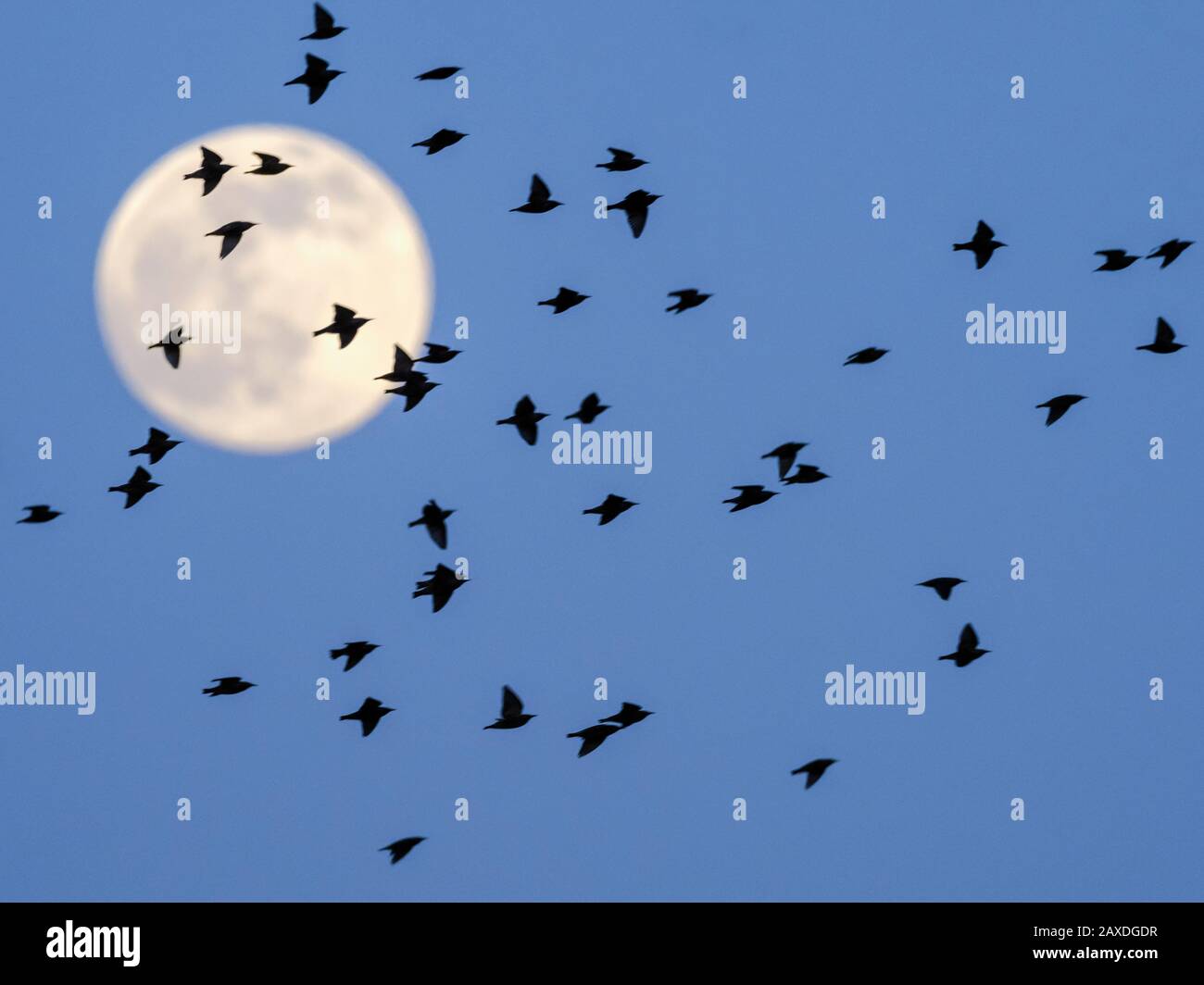 Flying To The Moon High Resolution Stock Photography and Images - Alamy