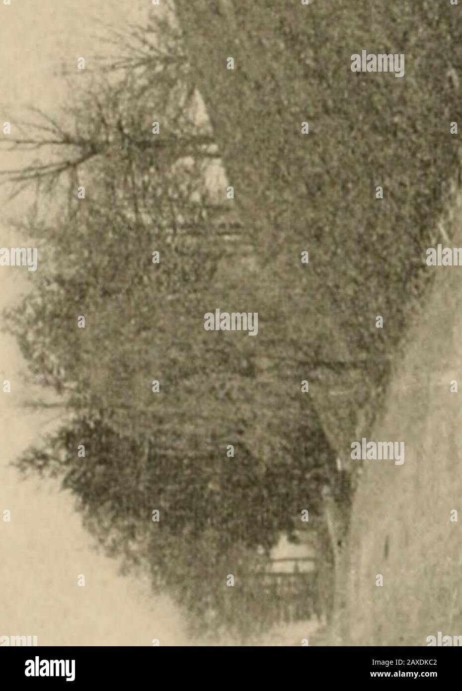 Abraham Lincoln And His Last Resting Place Co O A Pl S Bs C Oj C Rt 1 B 0 Oj Jaxi Os A A Lt O A